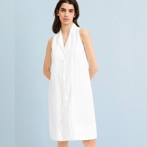 Everlane White 100% Linen Sleeveless Shirt Dress Boxy Fit Lagenlook Minimalist